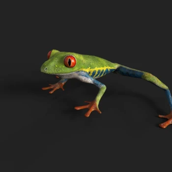 Frog